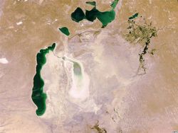 Аральское море в 2009 году. Фото NASA