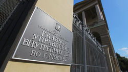 Зачем человек на Лексусе пытался перекрыть вход в МВД?