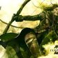 Guild Wars 2: новая модель бизнеса в MMORPG