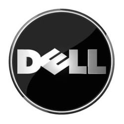 Согласится ли Dell на особые дивиденды?