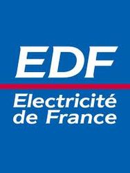 Electricite de France SA подвела итоги 2012 года