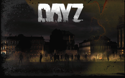 Самостоятельность DayZ