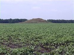 Исторические памятники стали огородами