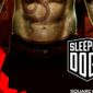 Sleeping Dogs