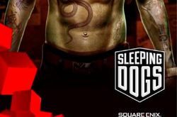 Sleeping Dogs