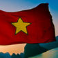 Вьетнам и Таможенный союз