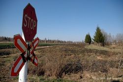 Локомотив протаранил легковушку в Пензенской области