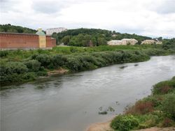 Днепр оккупировали токсичные водоросли, вызывающие рак - ученые