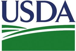 Обзор рынка пшеницы: трейдеры в ожидании отчетов USDA