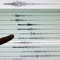 В Италии в Тоскане зарегистрировано землетрясение магнитудой 5.1