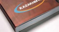 Топ-менеджер «Казахмыс» Дяченко перешел в российский «Норникель»