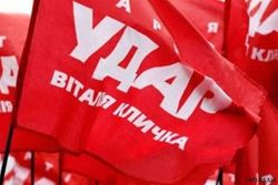 В партии "Удар" объяснили причину поражения на выборах мэра Василькова