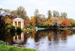 В Петербурге сожгли человека, его личность не установлена