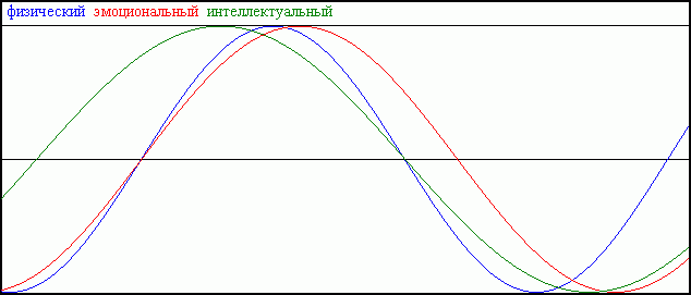 Биоритмы.