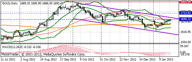 HY Markets