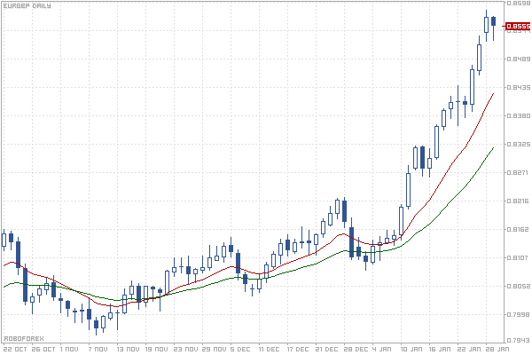 RoboForex