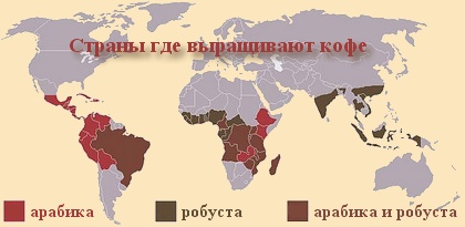 карта производства кофе