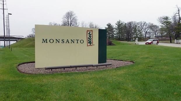 monsanto-bayer--620x349.jpg