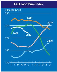 Food Index