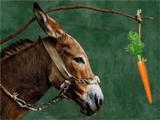 donkey-and-carrot.jpg