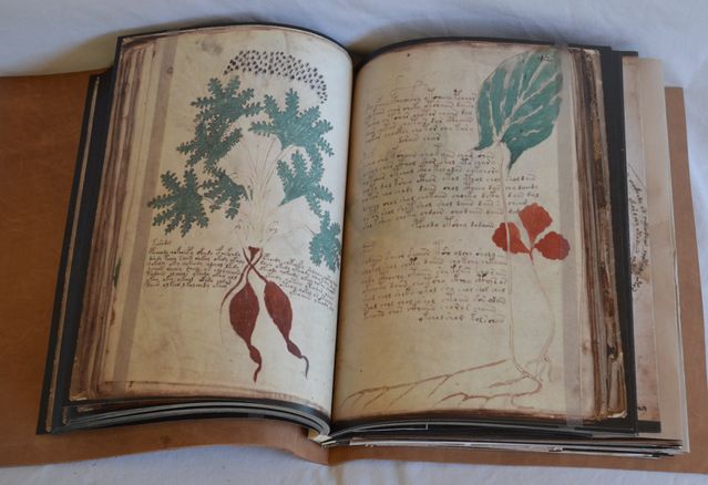 Voynich_Manuscript.jpg